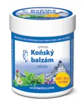 1429_KONSKY BALZAM SWISS CHLADIVY 250 + 50 ML CMYK_PDK 8594059731500